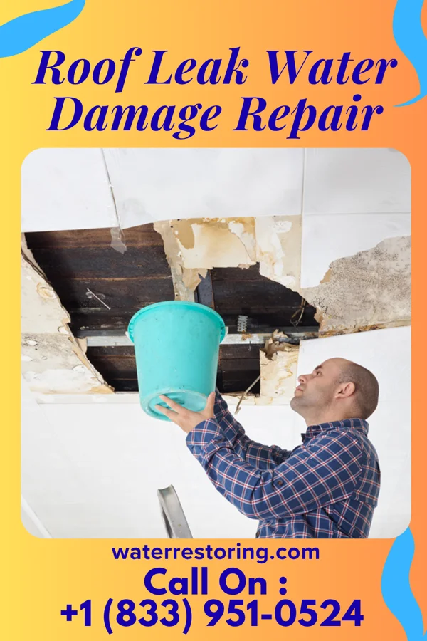 Roof Leak Water Damage Repair in Orleans, IA